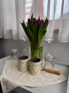 Ubytování pod Borovou - 2