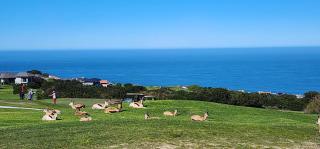 Living on a Golf Estate - Mossel Bay - 8