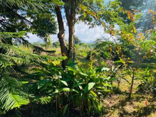 Fairview Dill homestay - 8