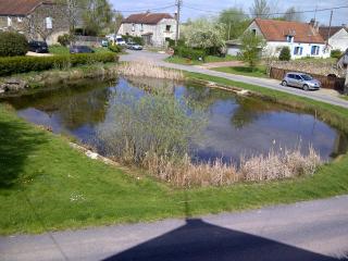 Gite Du Grand Morin - Villeneuve-la-Lionne - 8