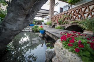 Al Agia - Molino Mísqueres de Padul - Grenade - 8