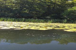 Cottage in a quiet location by the lake Mausz, Parchowo in Kashubia - Parchowo - 8