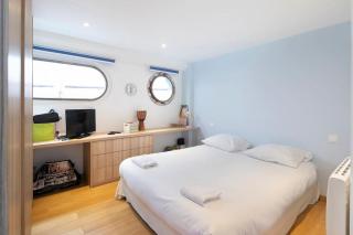 Spacious and bright barge 15 miParis - 5