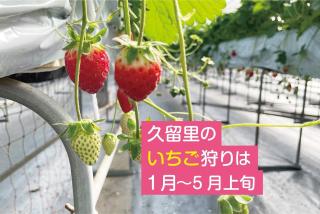 Rental villa, Otomi's house - Vacation STAY 11993 - 8