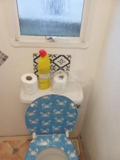 Arizona Caravan - Camber - 2