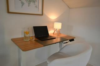 Neu renoviertes Apartment mit Rheinblick - 6