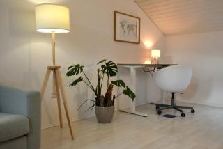 Neu renoviertes Apartment mit Rheinblick - 3