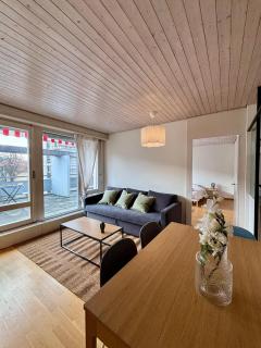 Simple & Comfy Apartment on Gartenstrasse - 9