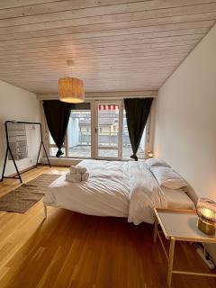 Simple & Comfy Apartment on Gartenstrasse - 8