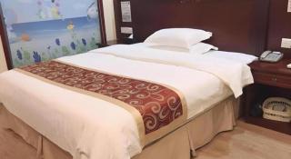 GreenTree Alliance Guangdong Shenzhen Pinghu Avenue Jingdu Town Hotel - 9