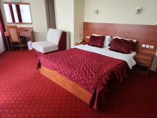 Motel Aleksandar - 1