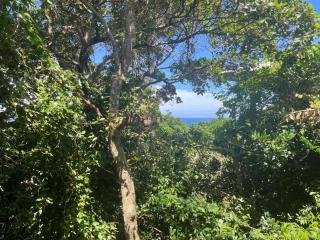 Vista Alta Serma - 6