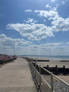 The Woodlands Caravan - 1