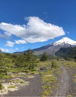 Pucón Magic forest - 8