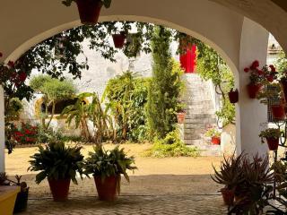 Hacienda Don Rodrigo - 6