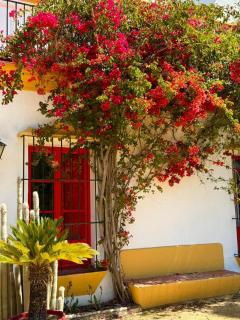 Hacienda Don Rodrigo - 4