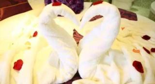 7 Days Premium Shanghai Wild Animal Park Huinan - 1