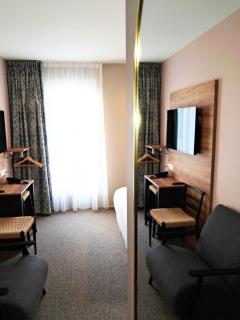 Hôtel du Cheval Blanc Brunstatt - 5