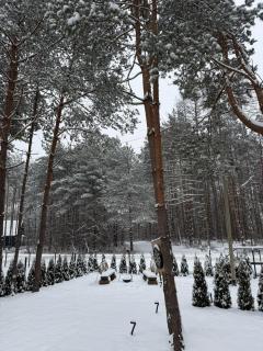 Leśne Zacisze Radawa III - 5