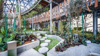 Antara Premium Suites Genting Highlands by BYON - 6