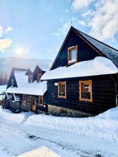 Drevenica Diana - Ždiar - 0