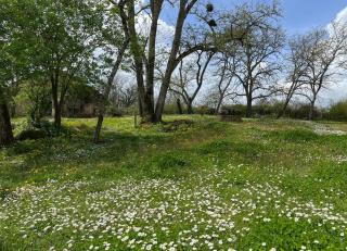 Les Gîtes de la Petite Toscane - 6