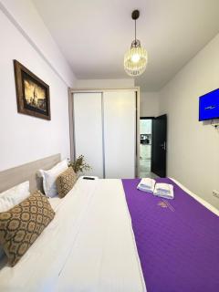 Renting Studios & Apartments Iasi at Lazar Towers with Parking - 7