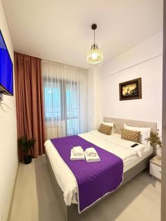 Renting Studios & Apartments Iasi at Lazar Towers with Parking - 5