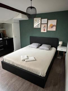 Studio Le Frêne - Dijon - 0