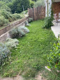 Studio Venaco Centre Corse - 2