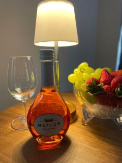 Loft novo com banheira de imersão a 5min da Vila Germânica ar e garagem - 5