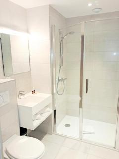 Hôtel du Cheval Blanc Brunstatt - 1