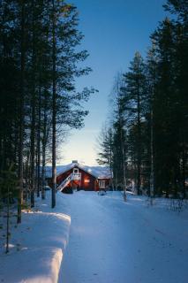 Kotatuli Forest Lodge - Rovaniemi - 6