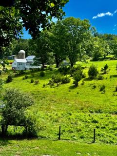 Winding Creek Cabin - 7