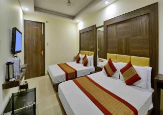 Hotel Luxery RR Inn - Paharganj - 8