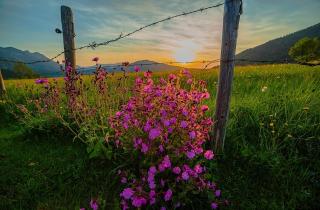 Bader Häusl - Chiemgau Karte - 3