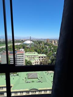 Dpto Vista hermosa Parq O'Higgins y Movistar Arena - 4