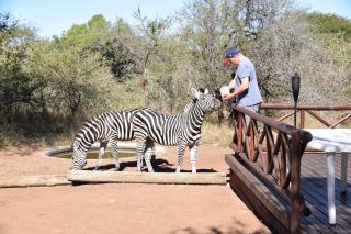 Khumbula iAfrica 2 - 2