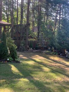 Borowa Przystań Domek nad Jeziorem Borowym - 5