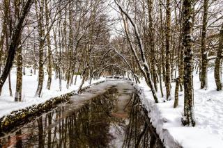 Estrela da Montanha - 8
