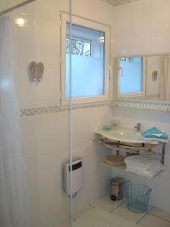 Maison dans un écrin de verdure - 5