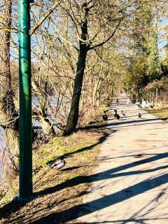 Riverside Cabin Surrounded by Nature for Two - 3