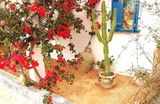 Maison de charme Djerba - 3
