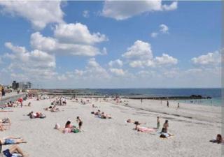 Large cosy home with garden, excellent location! - 2