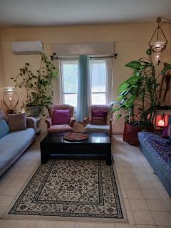 בית חמוד בעמק המעיינות - 0