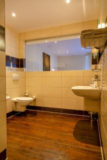 Boutique Hotel Wolfsburg - 7