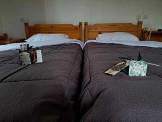 Apollon inn - Arachova - 6