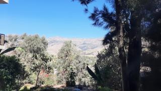 Sorba Lodge Lalibela - 9