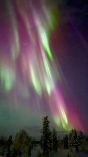 Arctic Raja Inn, next to Norwegian border - 8