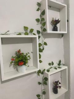 Açaizeiro Hostel - 6